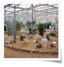 Plougastel-Loisirs à la cactuserais de Guipavas